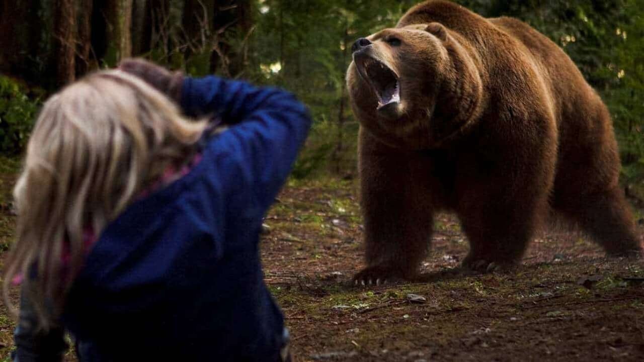 Grizzly Rage backdrop