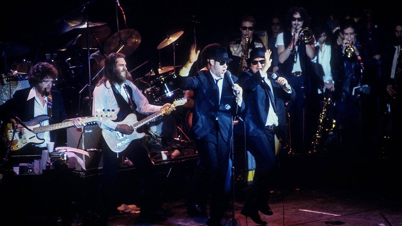 The Blues Brothers Live at Winterland backdrop