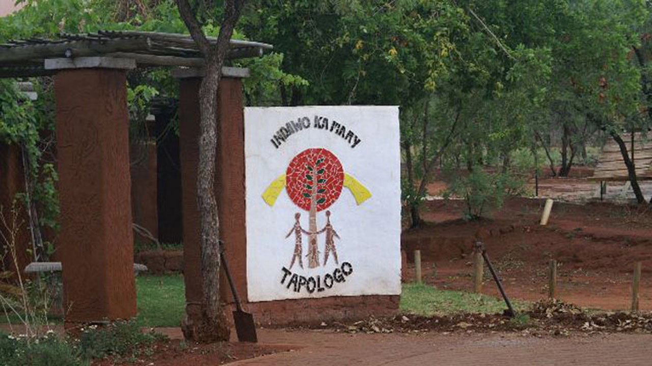 Tapologo backdrop