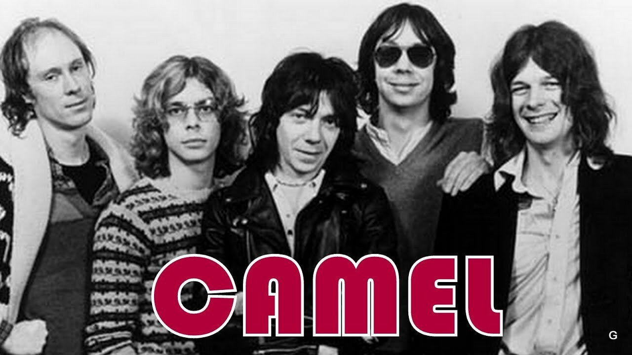 Camel - Moondances backdrop