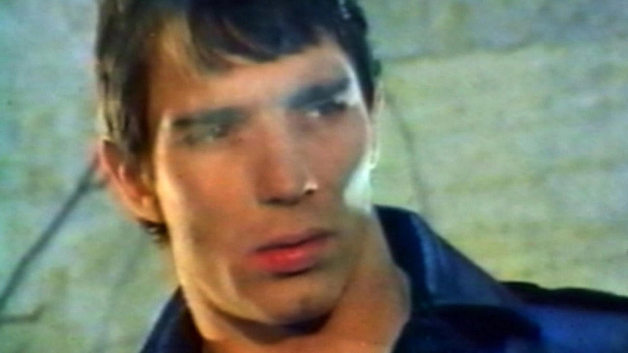 Mondo Homo: Inquiry Into 70's Gay French Porn backdrop