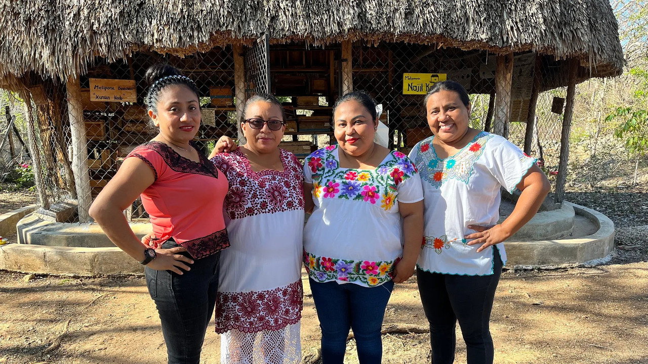 Die Honigfrauen von Yucatán - Las damas de la miel backdrop