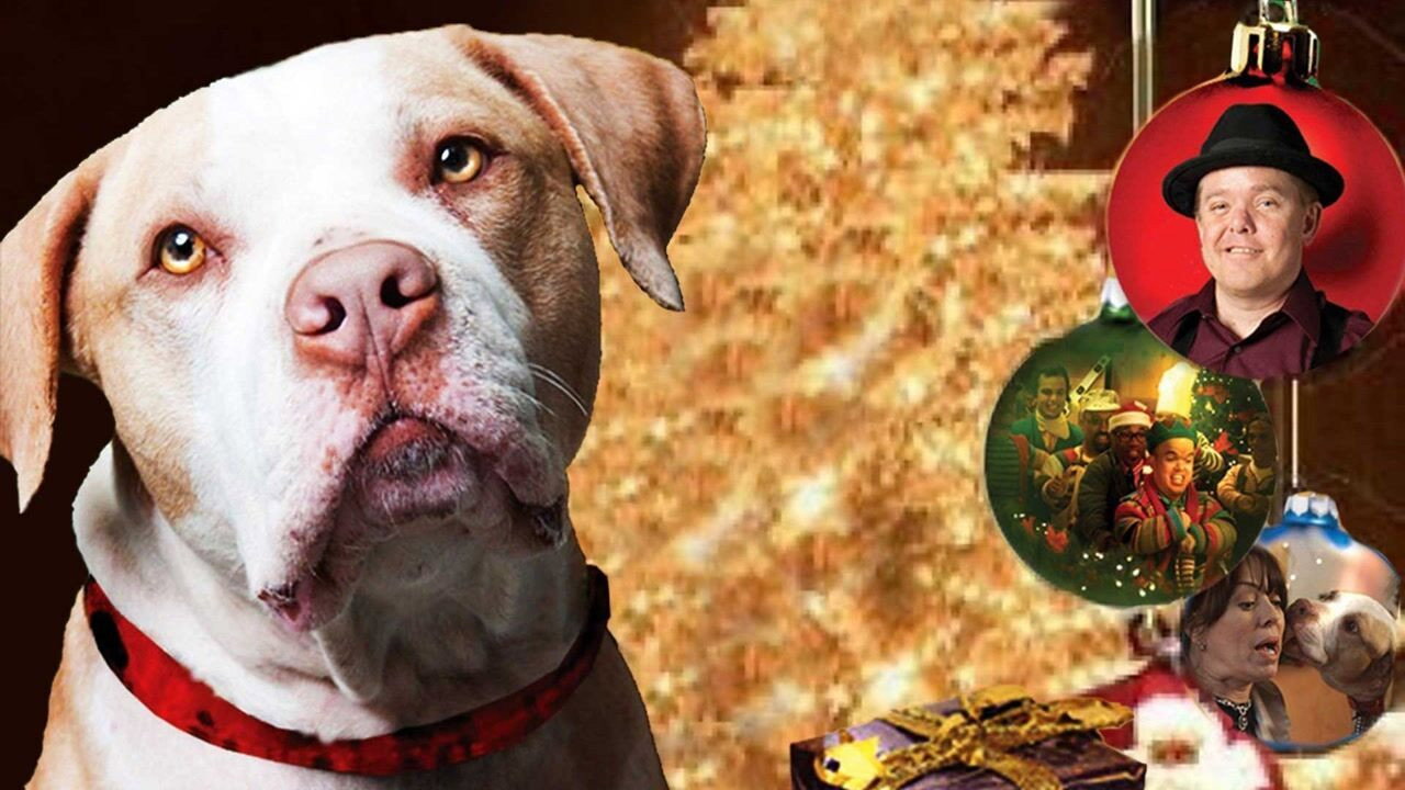 Hercules Saves Christmas backdrop