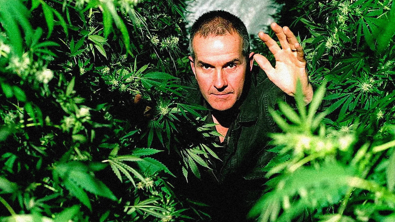 Cannabis: The Evil Weed? backdrop