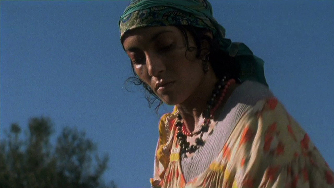 Fatima, the Algerian Woman of Dakar backdrop