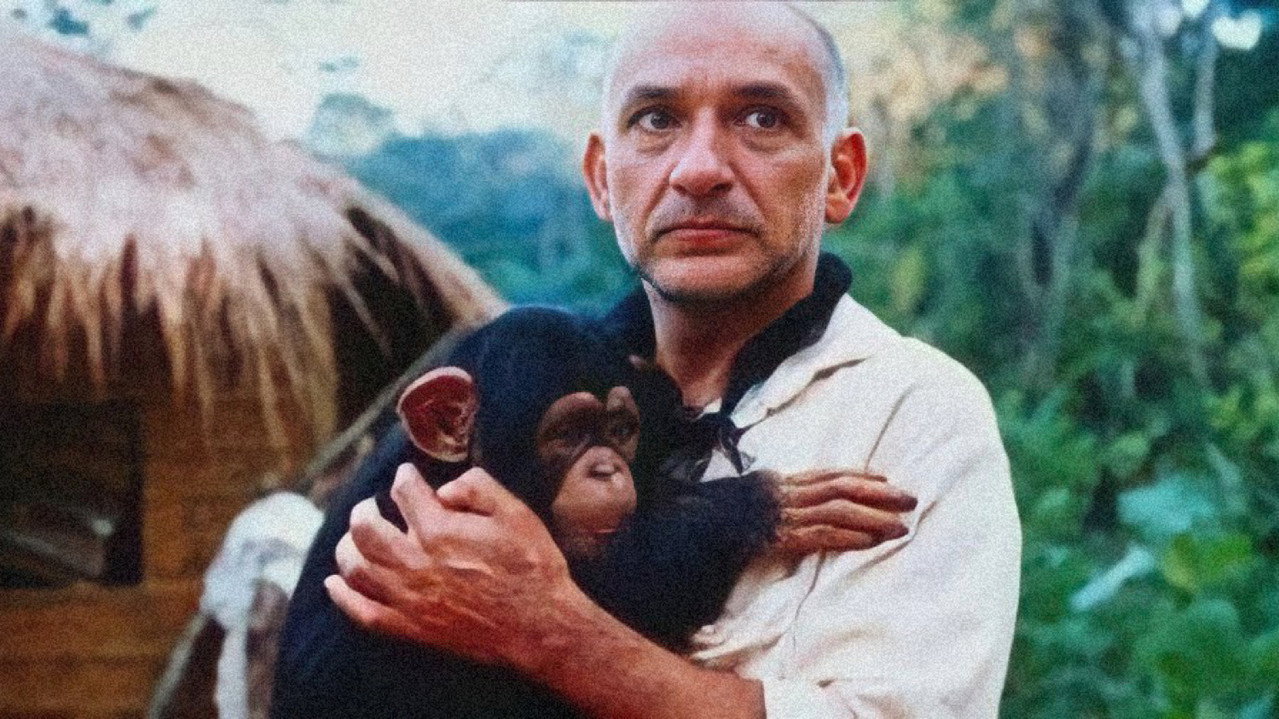 The Fifth Monkey backdrop