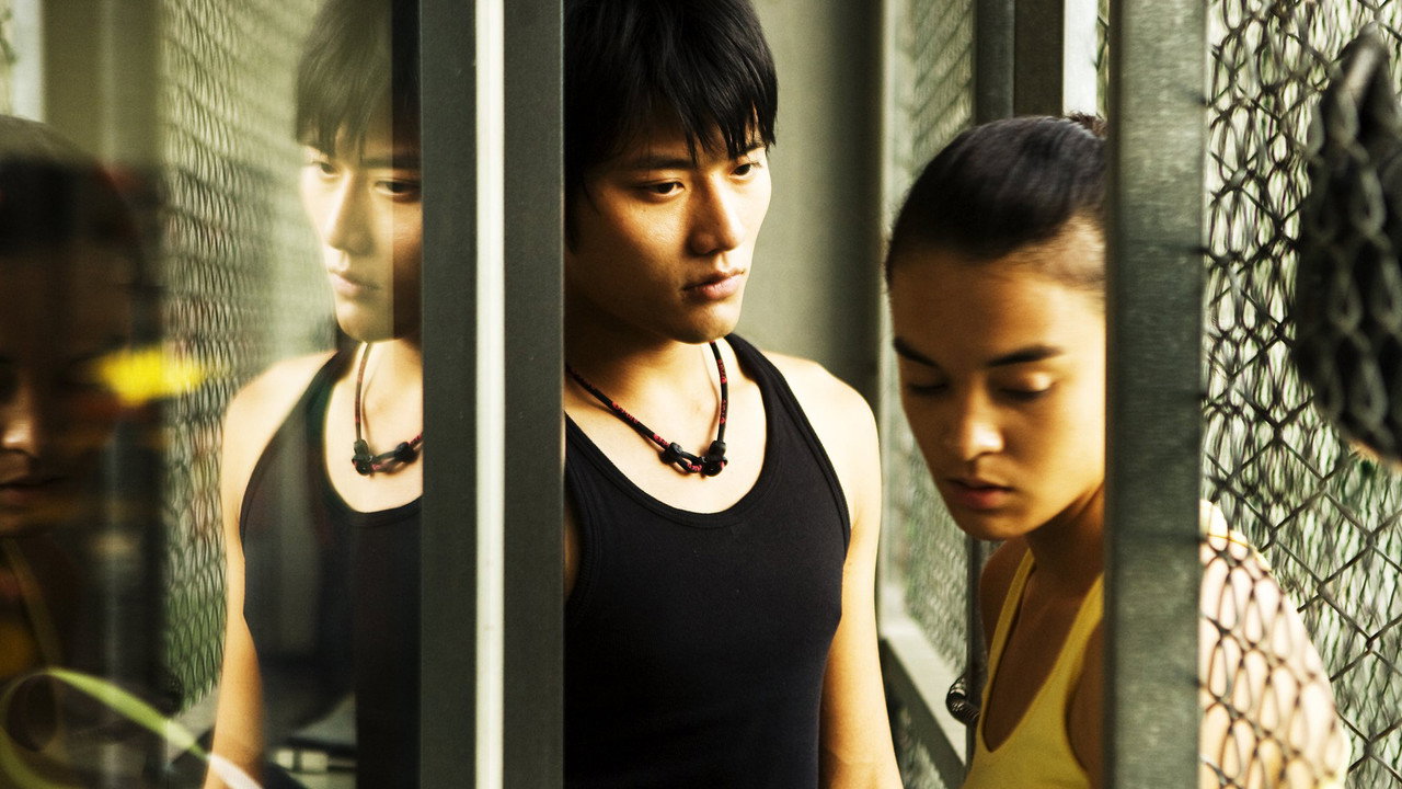 Yang Yang backdrop