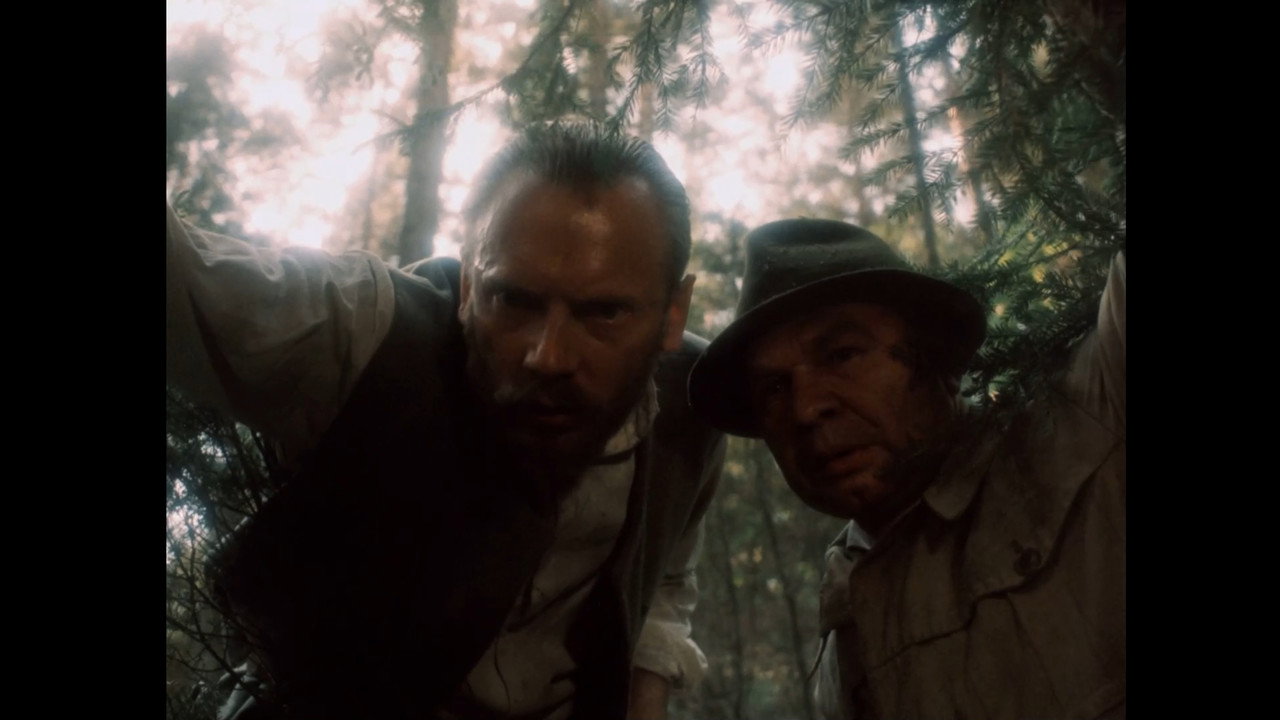 The Secret of a Wild Forest backdrop