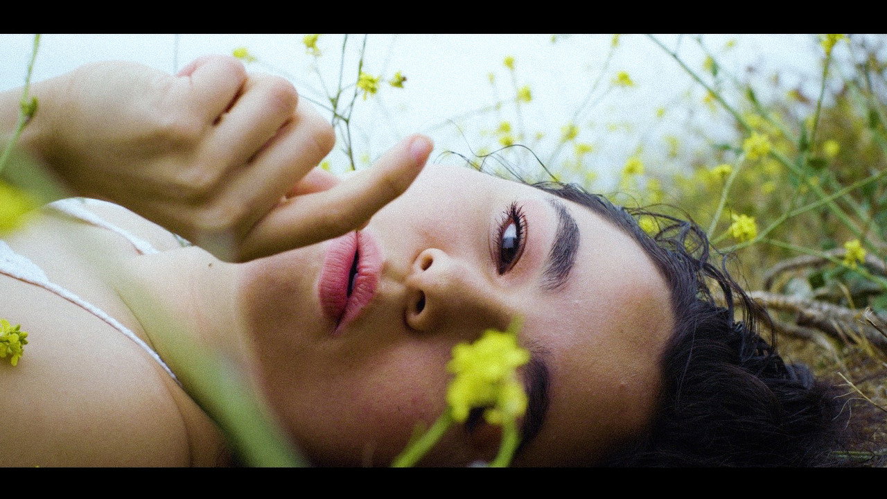 Petals backdrop