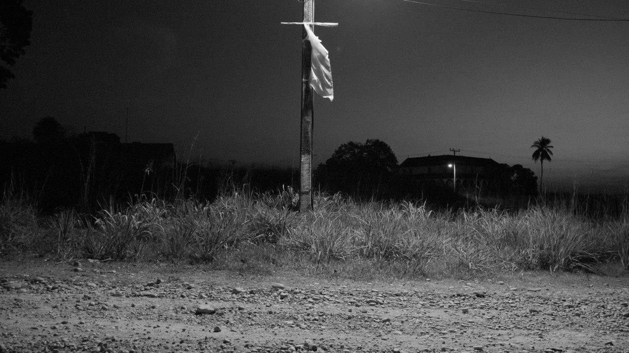 Fordlandia Malaise backdrop