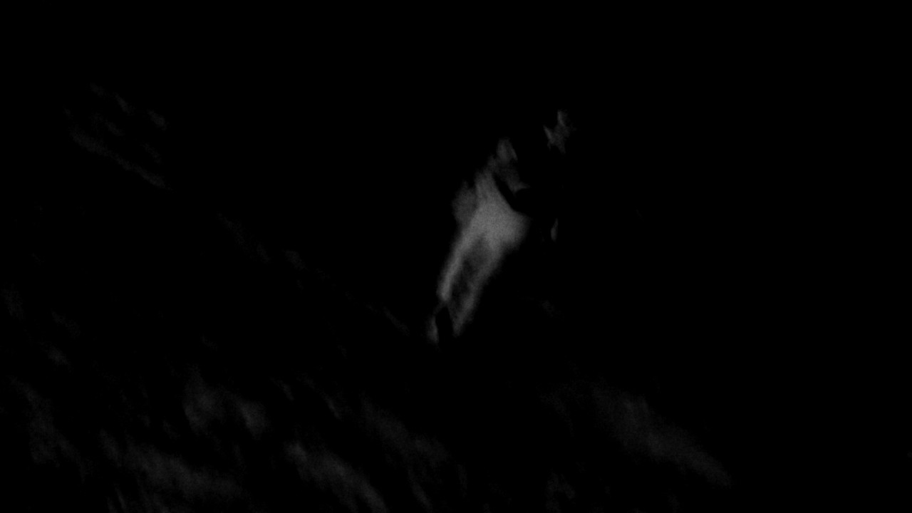 Nightwalk backdrop