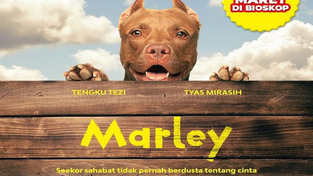 Marley backdrop