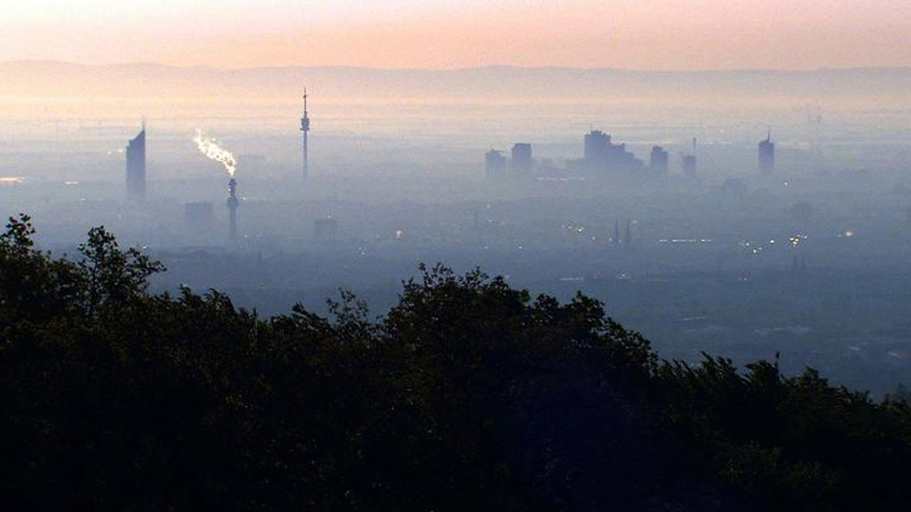 Vienna's Forests - Jewels of Green backdrop