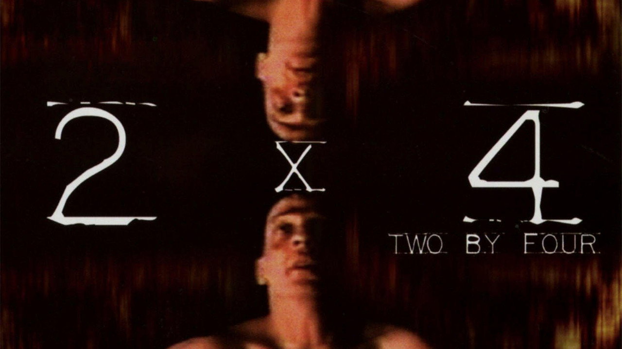 2 By 4 backdrop