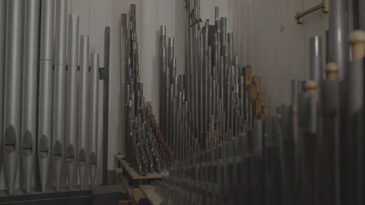ORGAN backdrop