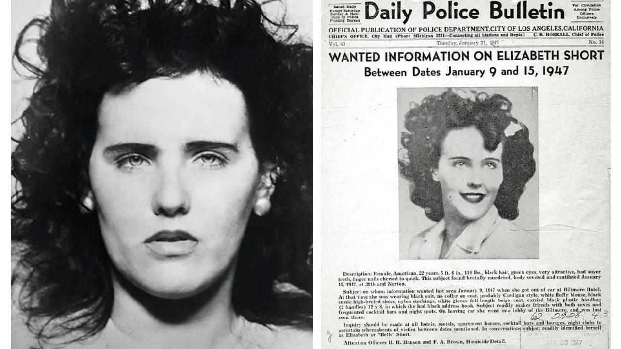 Black Dahlia Confidential backdrop