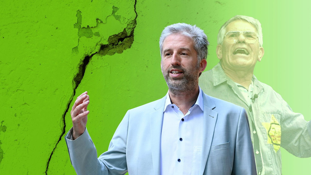 Der Palmer Komplex backdrop