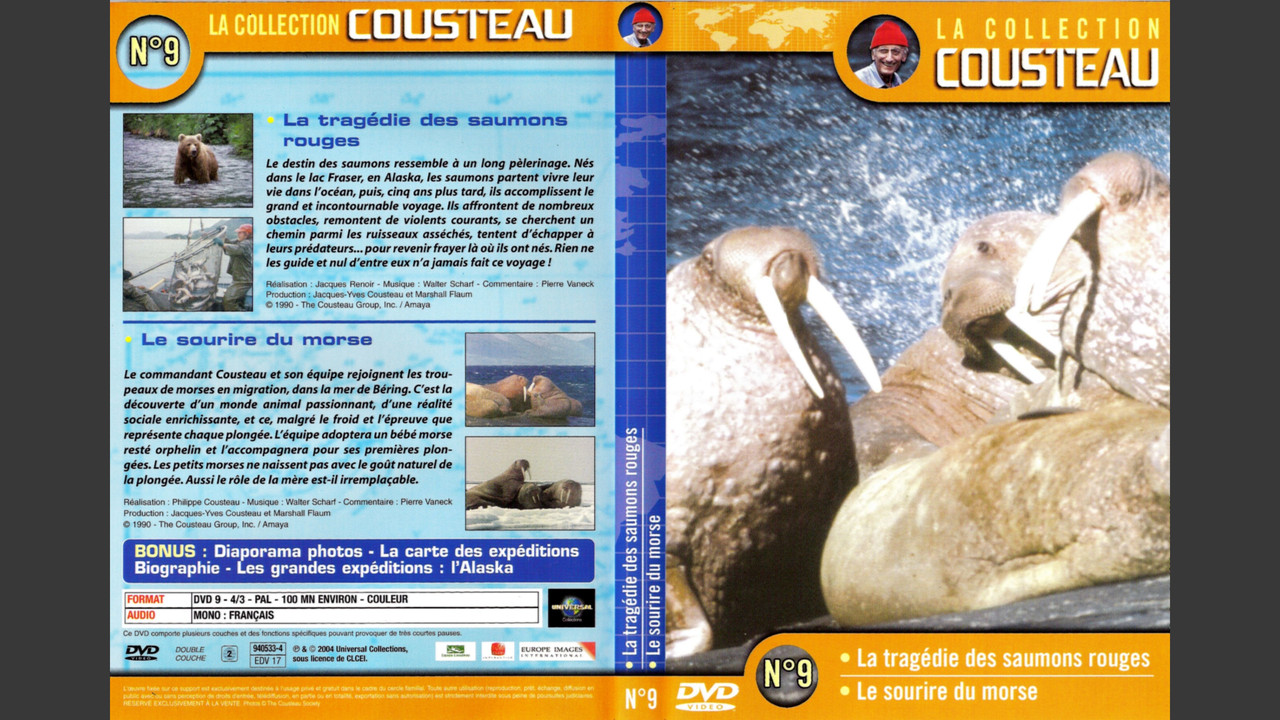 The Cousteau Collection N°9-2 | Morse's Smile backdrop
