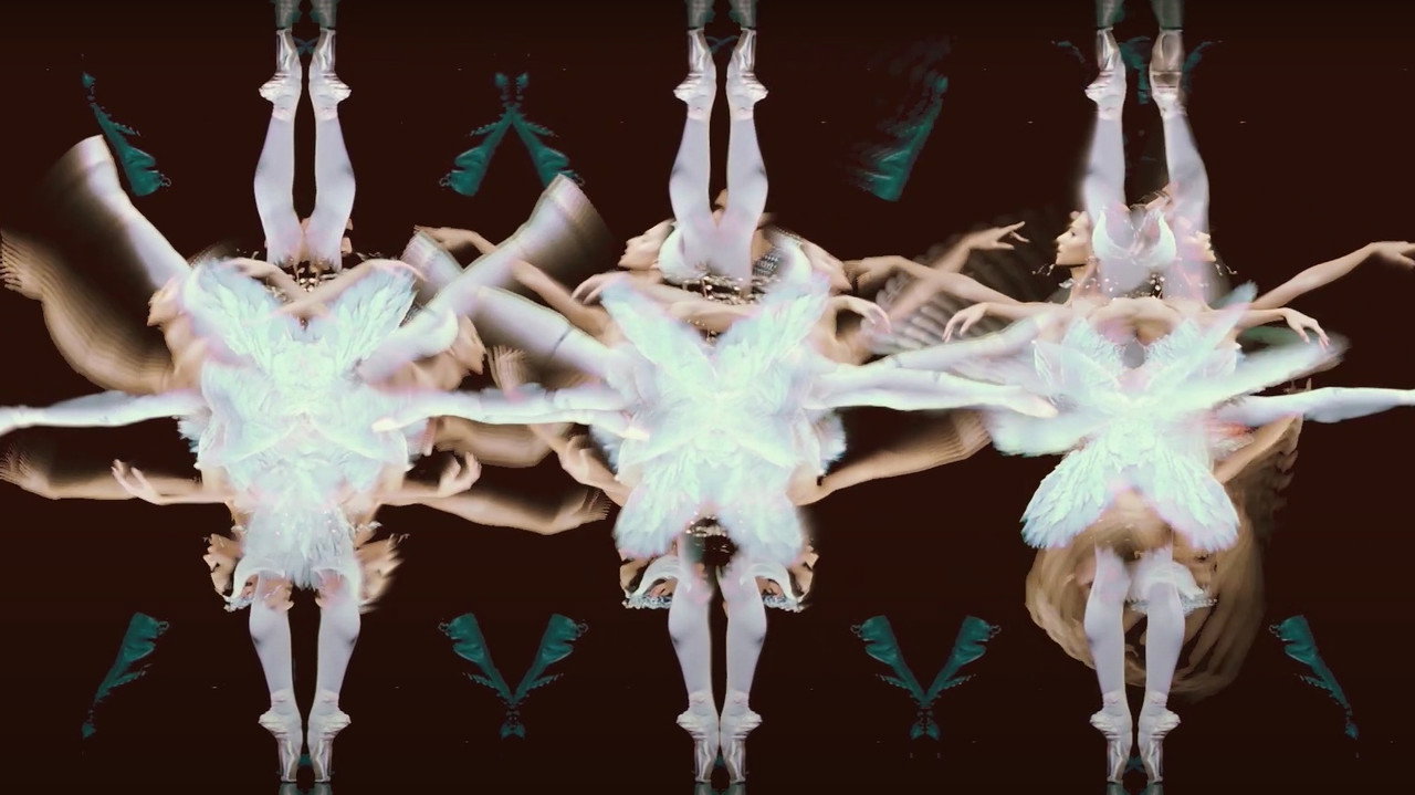 Cygnes backdrop