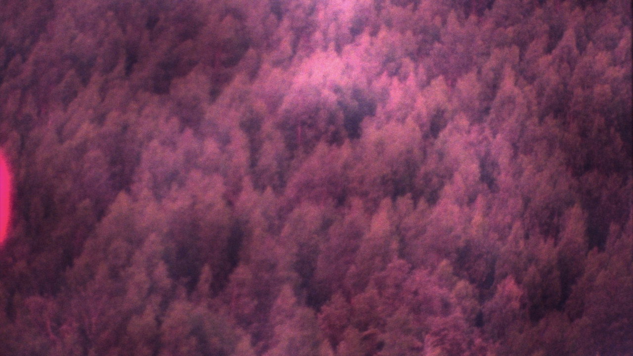 Travelers' Suite backdrop
