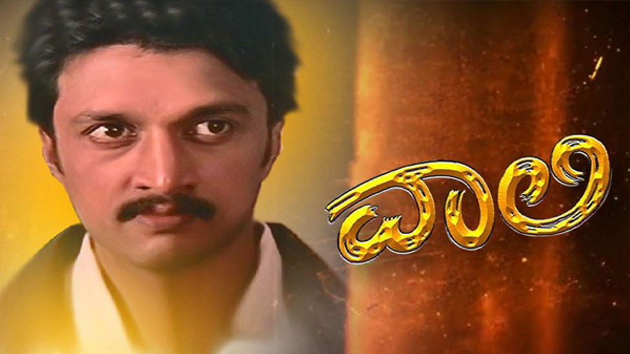 Vaalee backdrop