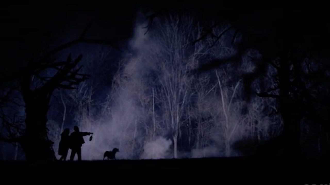 The Hollow Tree backdrop