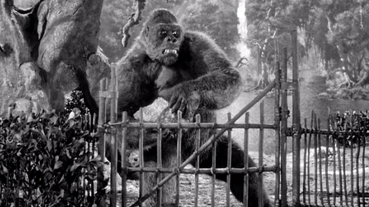 Mighty Joe Young backdrop
