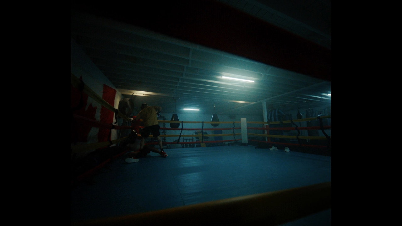 Shadow Box backdrop
