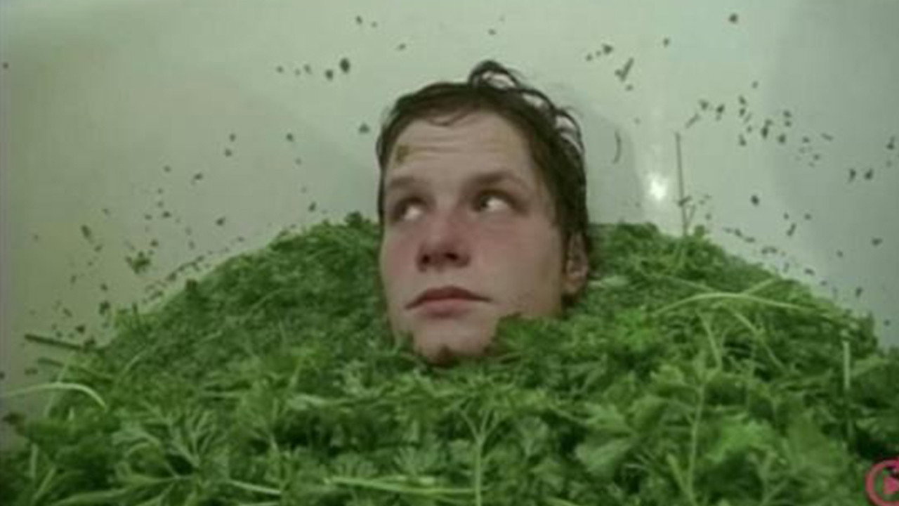 Parsley Days backdrop