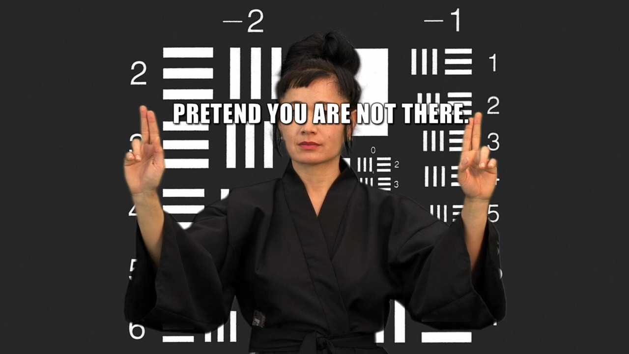 How Not to Be Seen: A Fucking Didactic Educational .MOV File backdrop