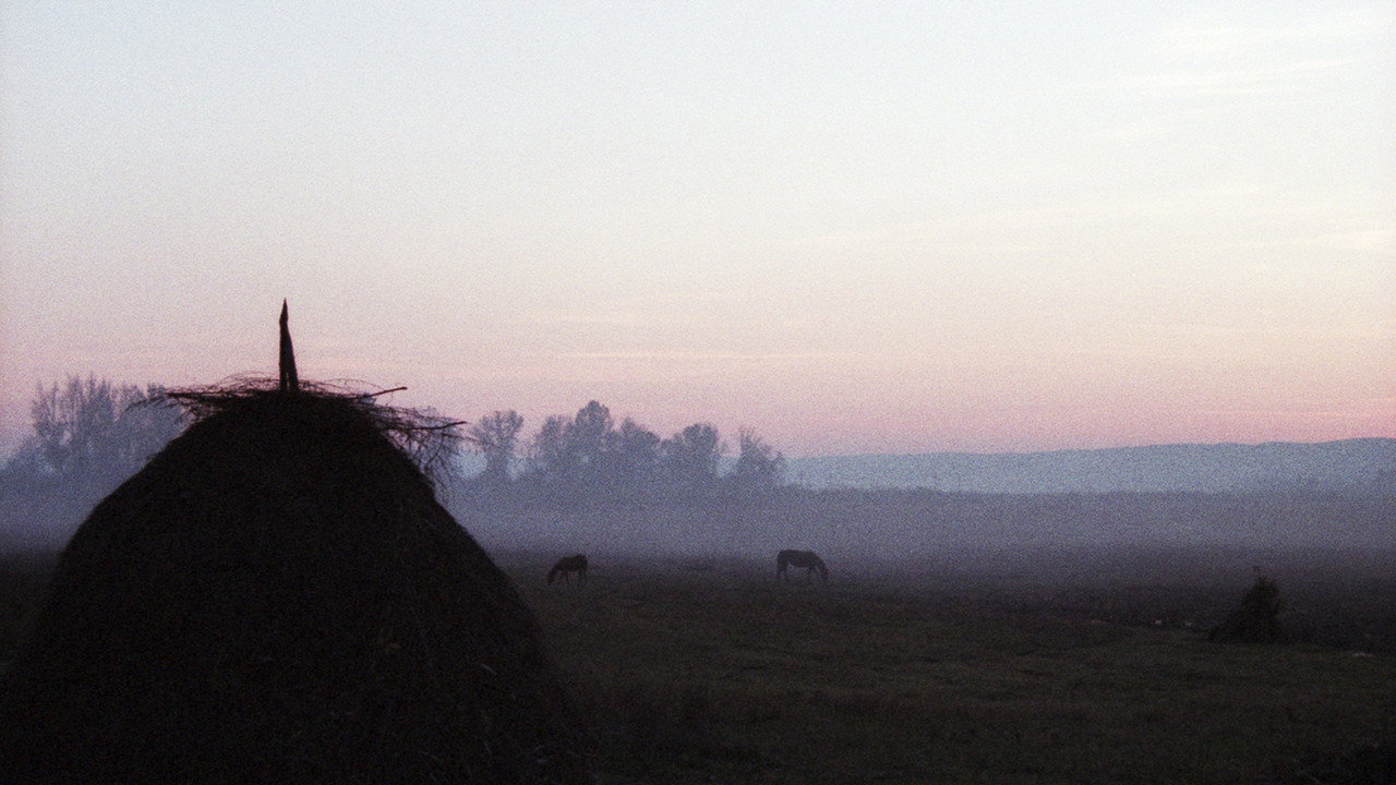 A Short Story of Absence and Return backdrop