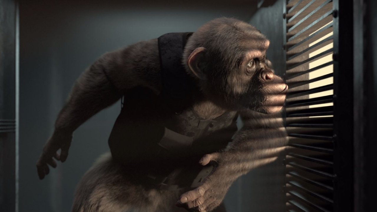 C.I.Ape backdrop