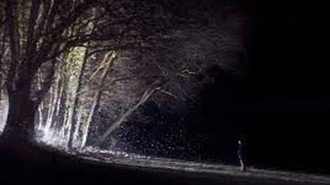 Particles backdrop