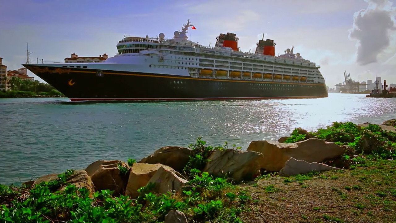 The Wrong Cruise backdrop