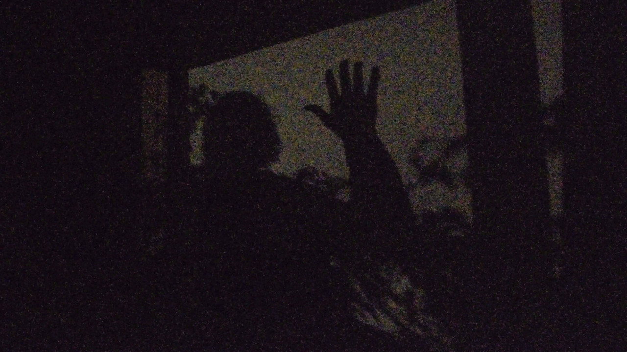 A garden of shadows backdrop