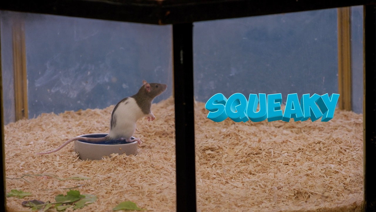 Squeaky the Rat backdrop