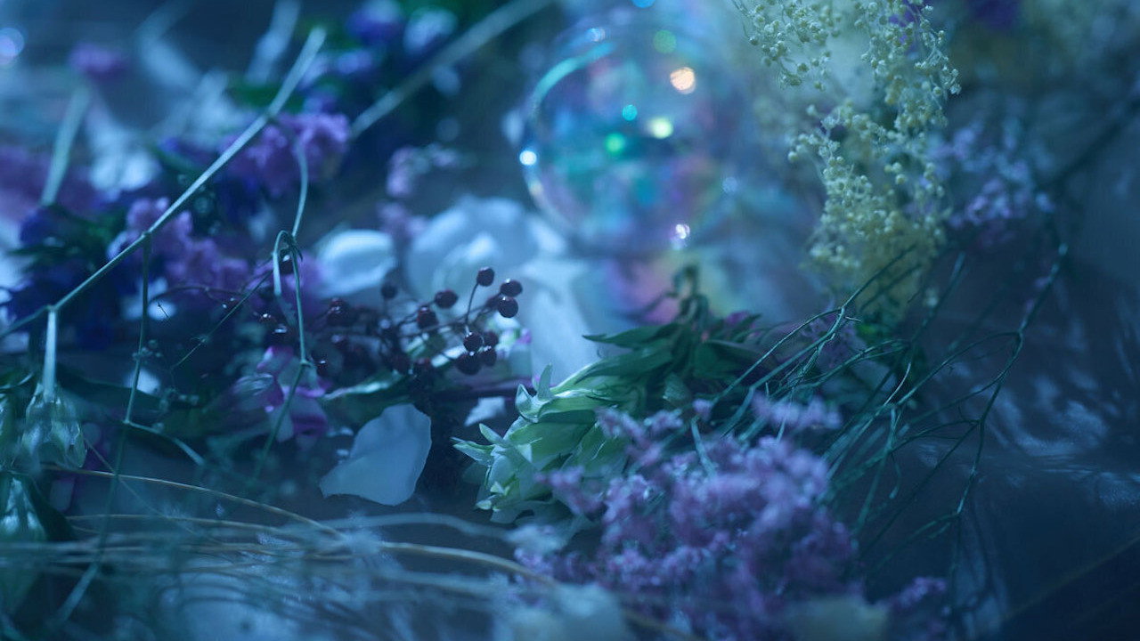 Touken Ranbu: The Musical - Higekiri Solo Performance ~Fleeting Dreams~ backdrop
