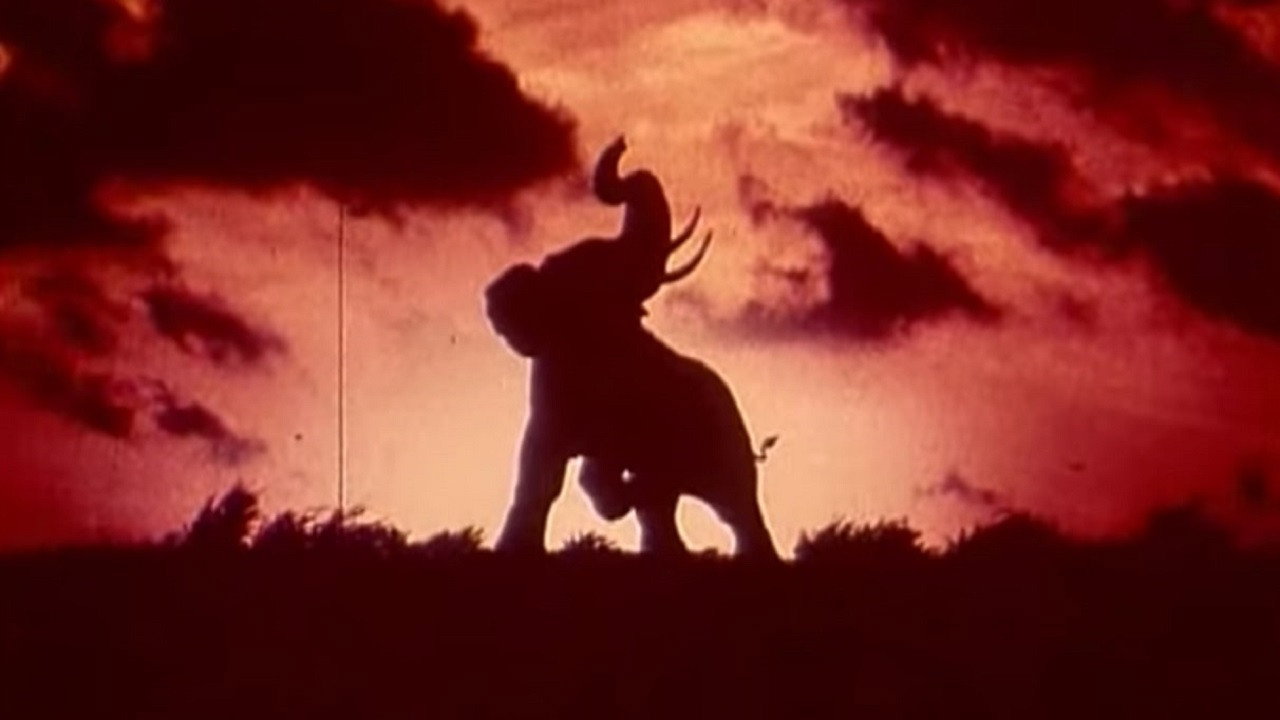 Tusk backdrop