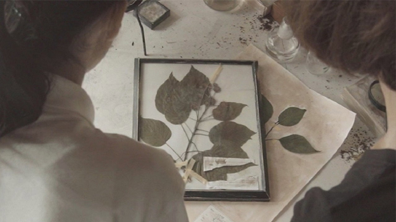 Omura Botanical Specimens backdrop
