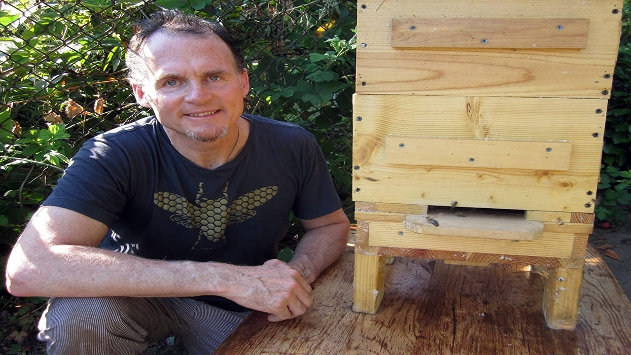 Queen of the Sun: What Are the Bees Telling Us? backdrop