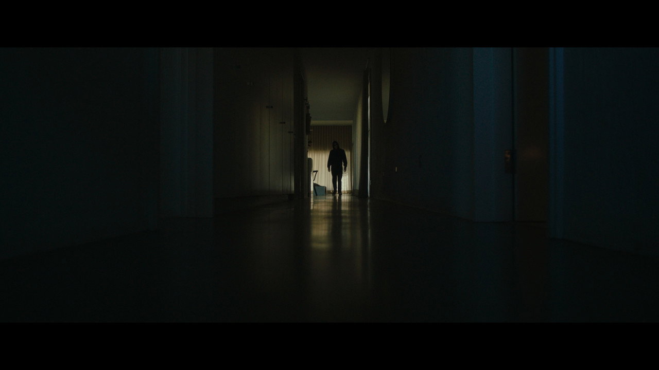 Sentient backdrop