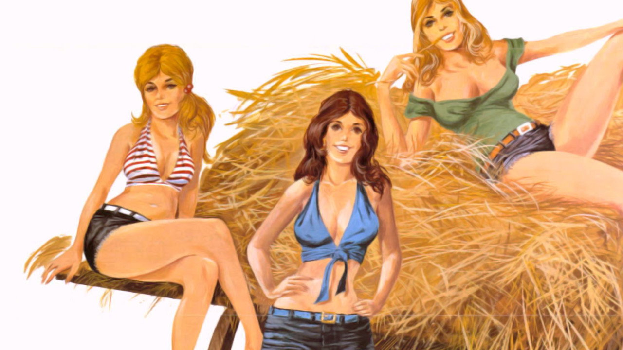 Hay Country Swingers backdrop