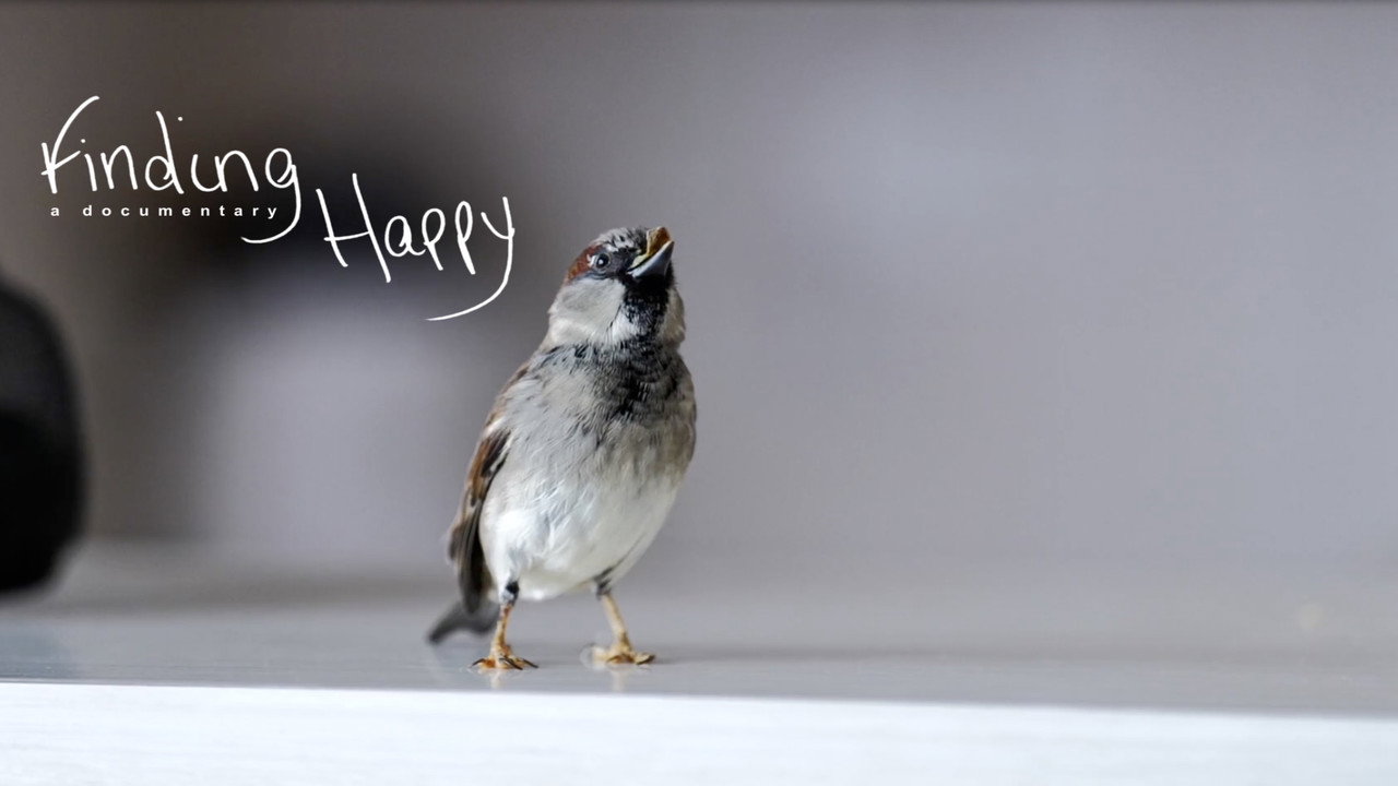Finding Happy backdrop