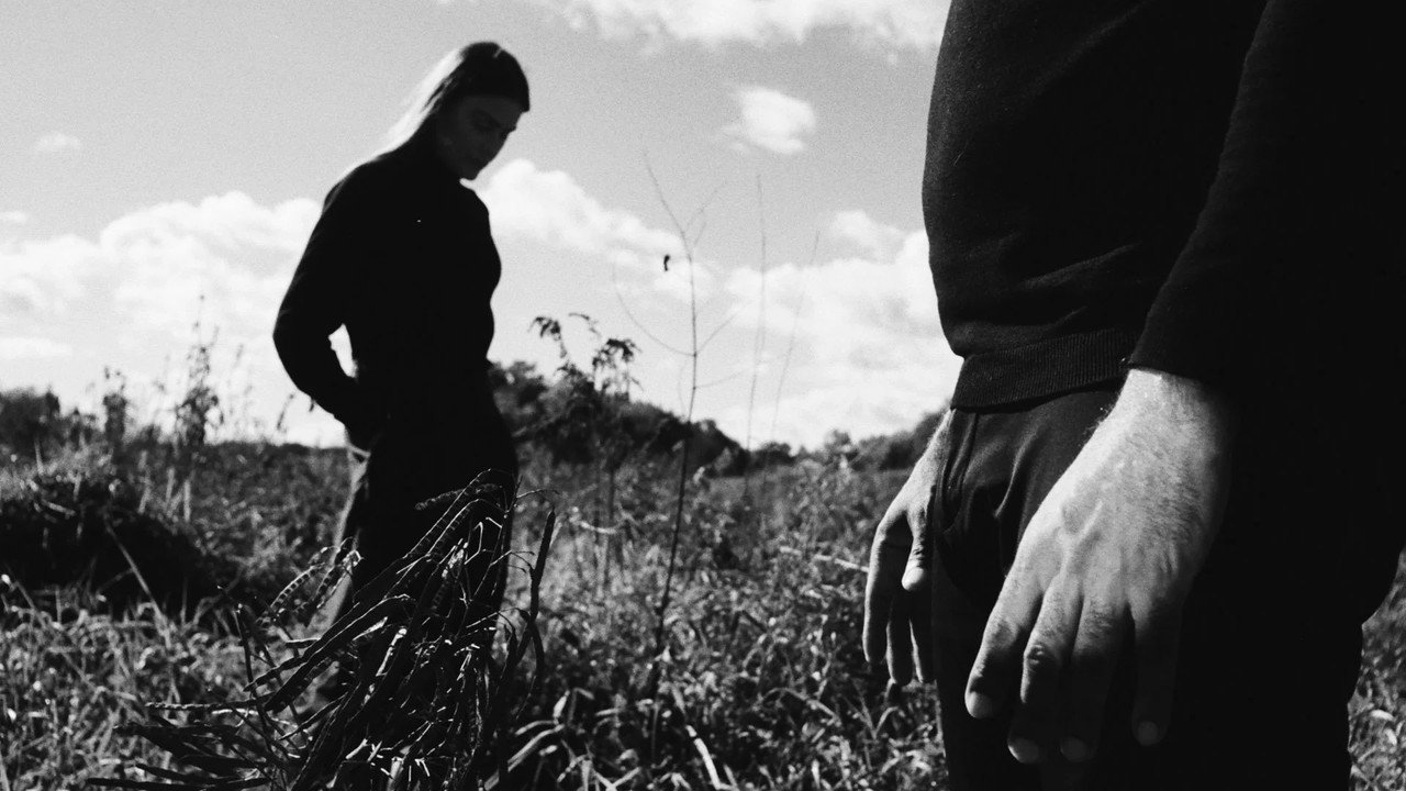 The Meadow backdrop