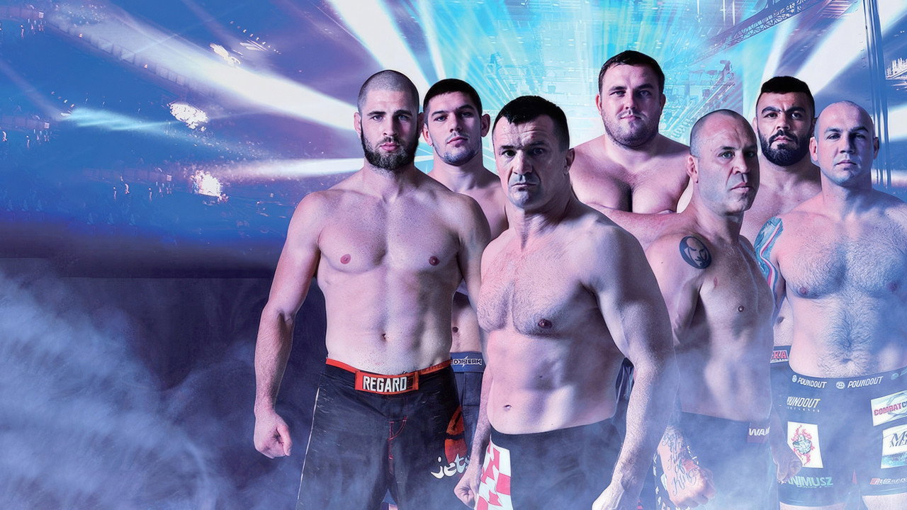 RIZIN 3 backdrop