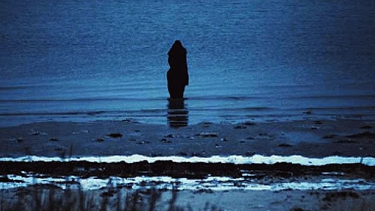 Steven Wilson: Catalogue / Preserve / Amass backdrop