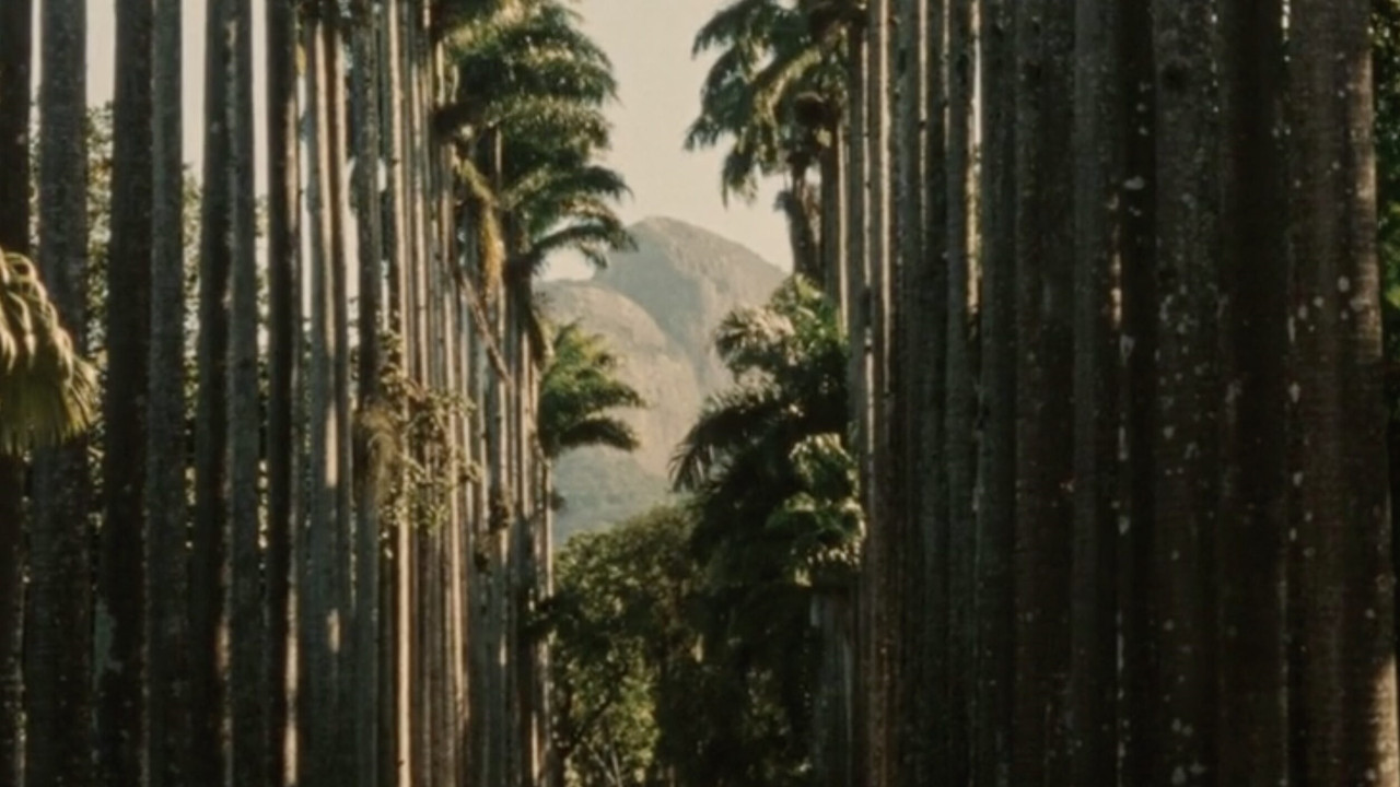 To Brasil backdrop