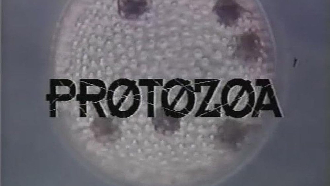 Protozoa backdrop