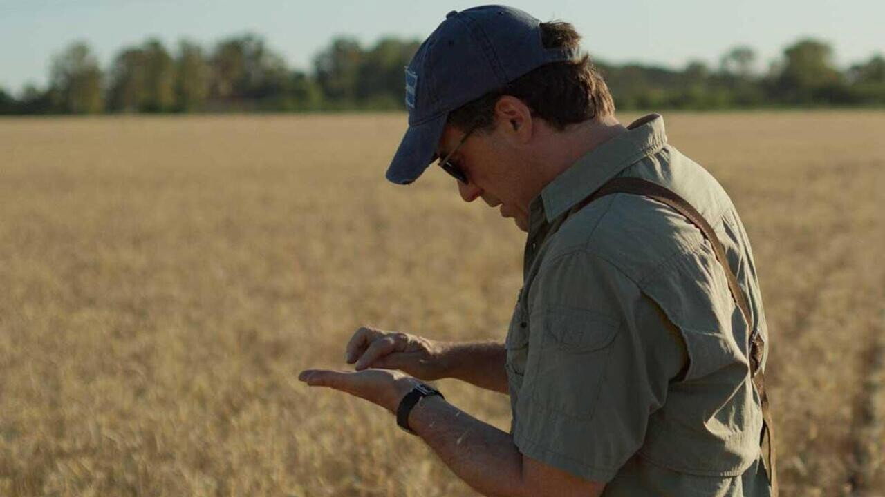The Agronomist backdrop