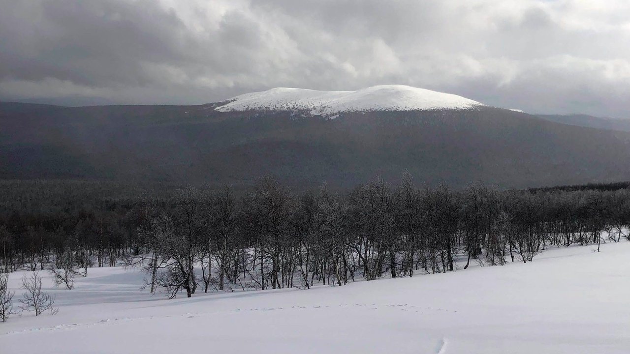 The Dyatlov Pass Incident backdrop